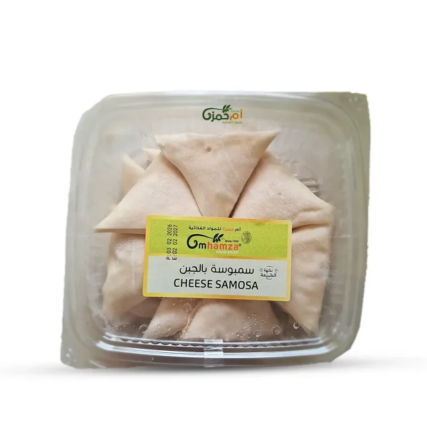cheese-sambousek-frozen